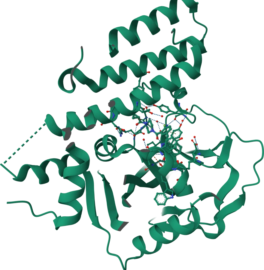 Ribbon model of protein structure 7KK4 with a bound ligand